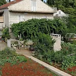 Marita كورتْشولا